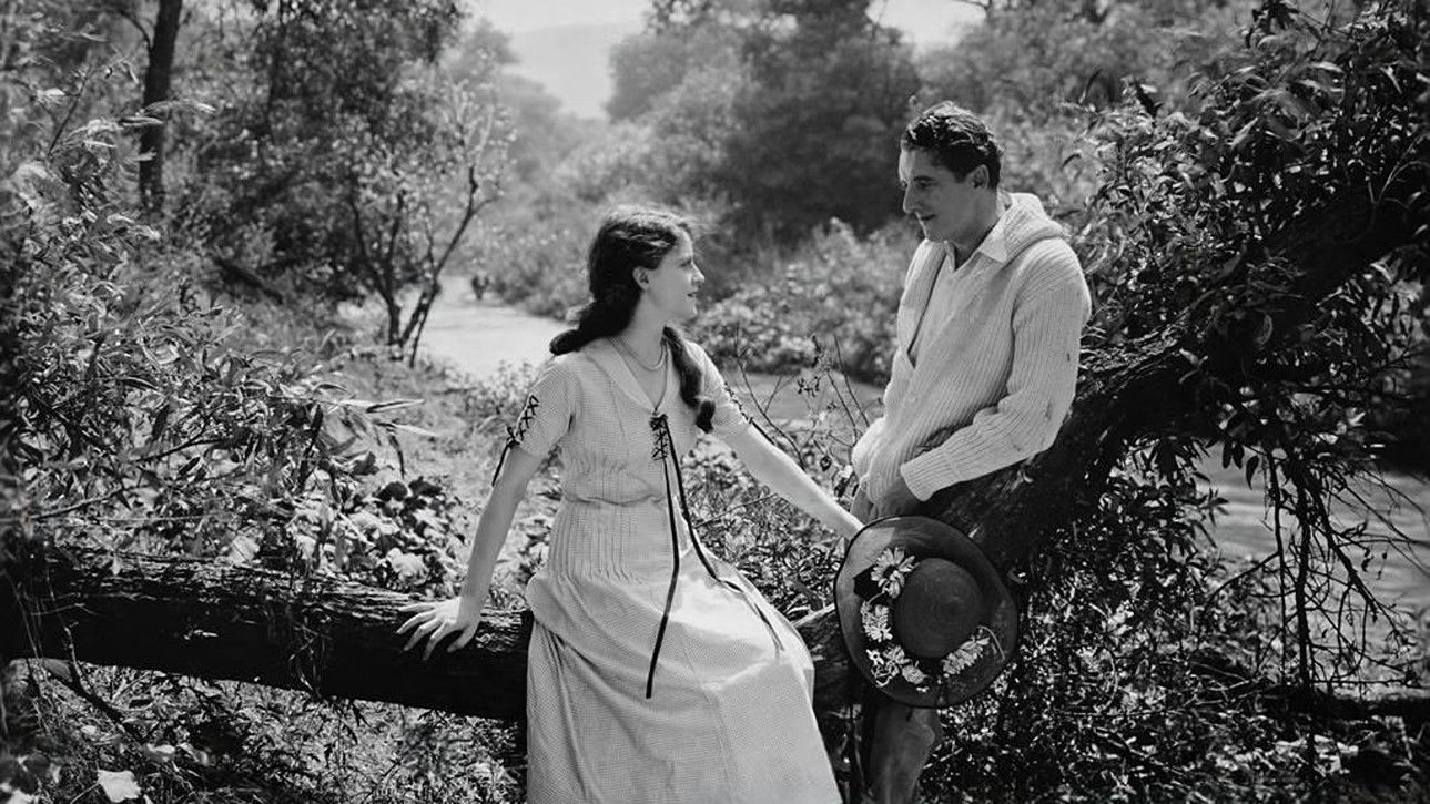 Backdrop for The Fourth Commandment