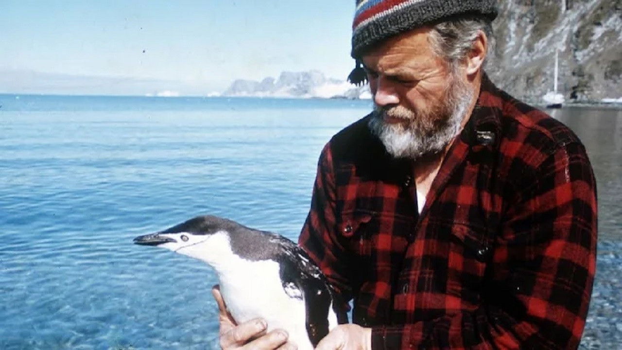 Backdrop for Following Seas