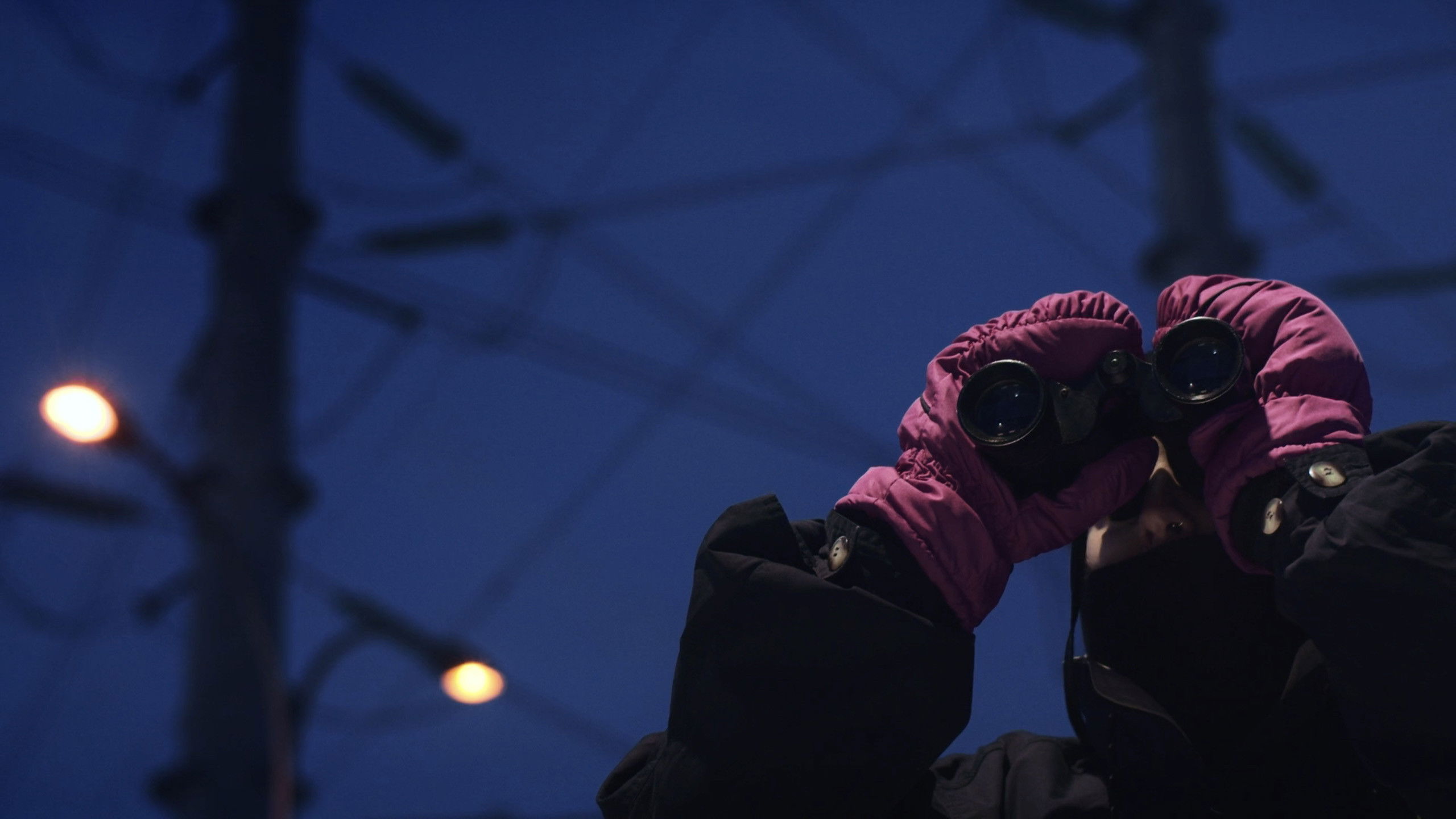 Backdrop for Miss Moto