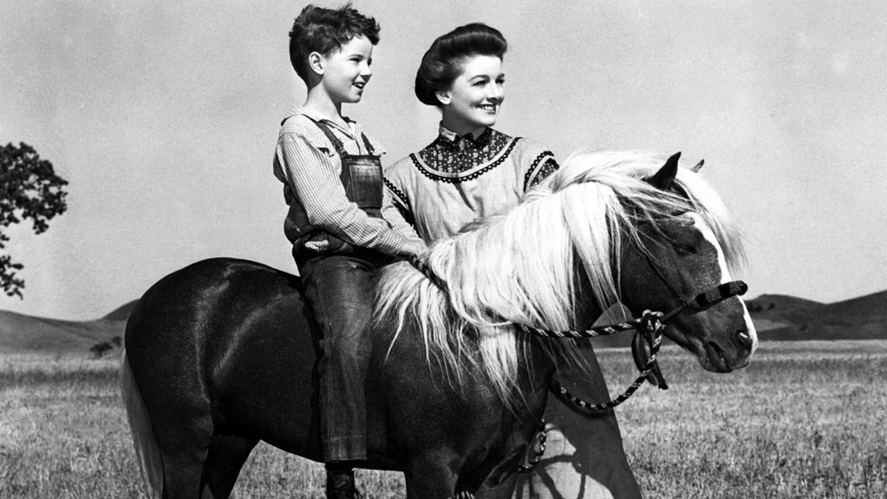 Backdrop for The Red Pony