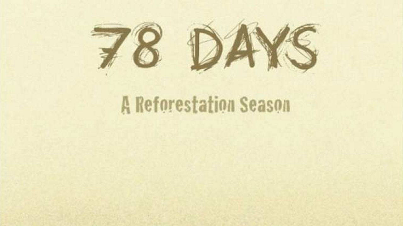 Backdrop for 78 days: A Tree Planting Documentary