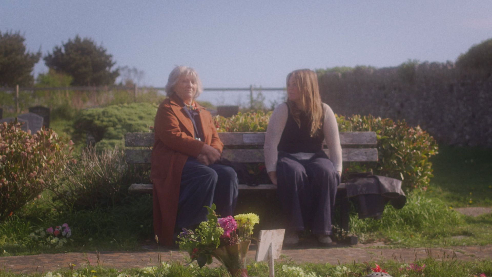 Backdrop for Language of Life