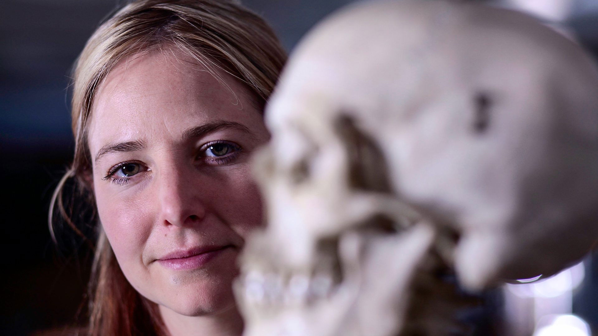 Backdrop for Origins of Us