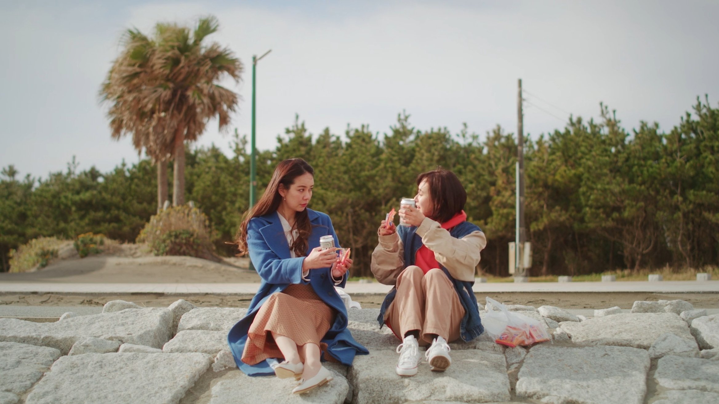 Backdrop for Flowers Blooming on the Shore