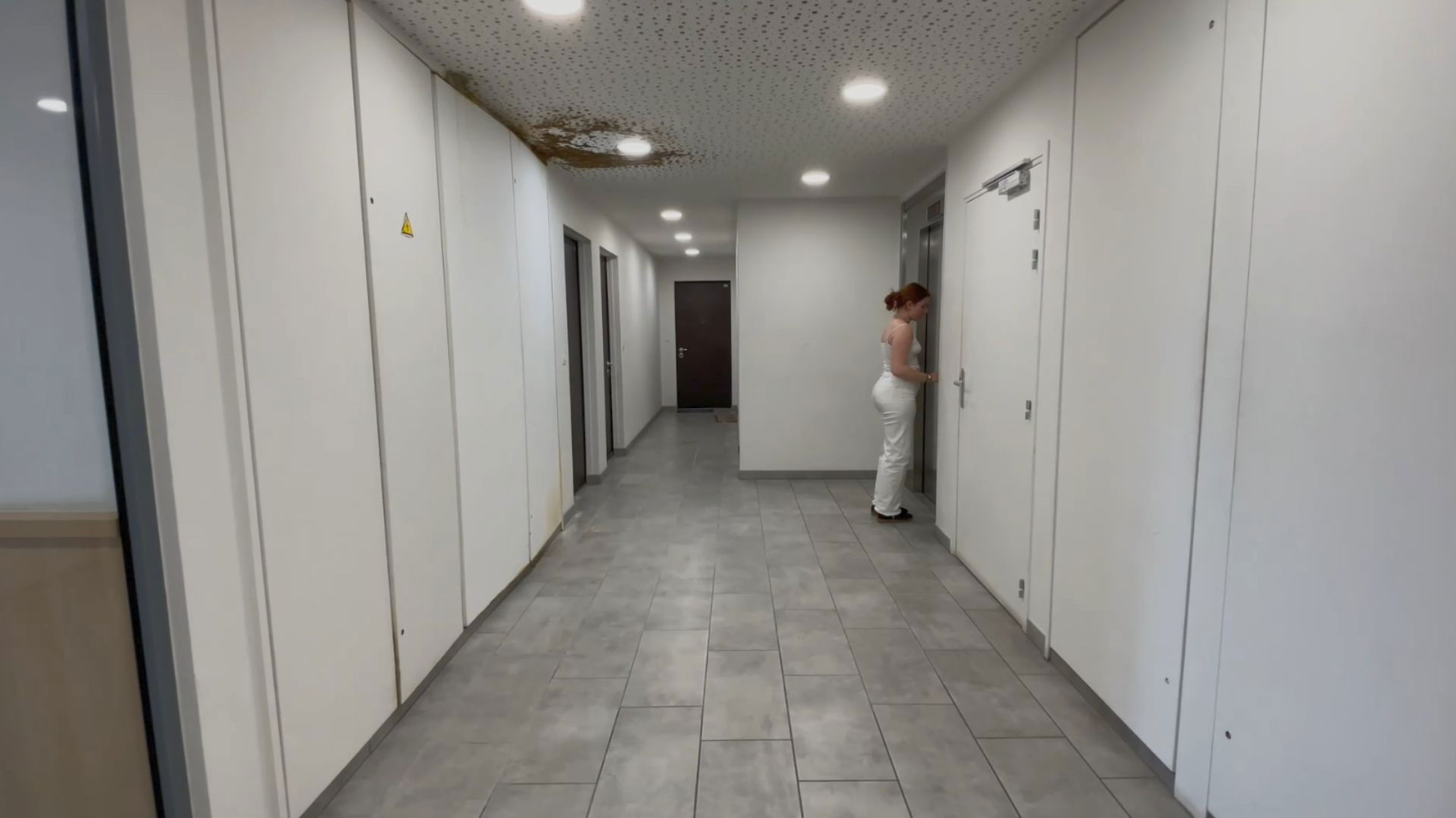 Backdrop for Central Park