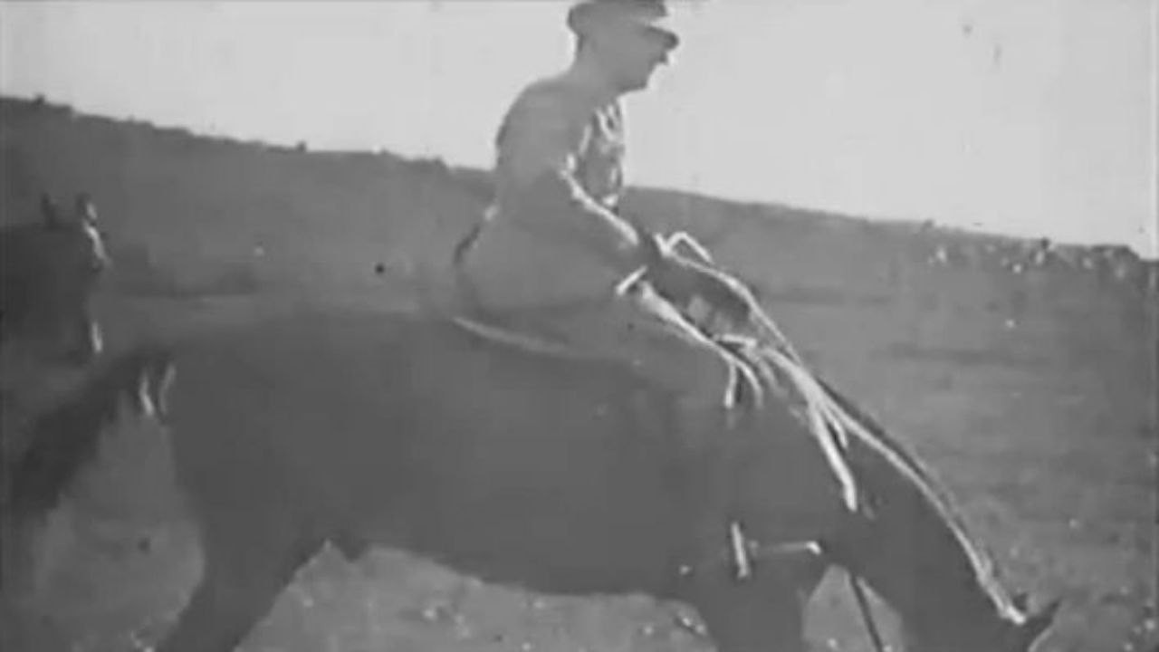 Backdrop for War of Africa