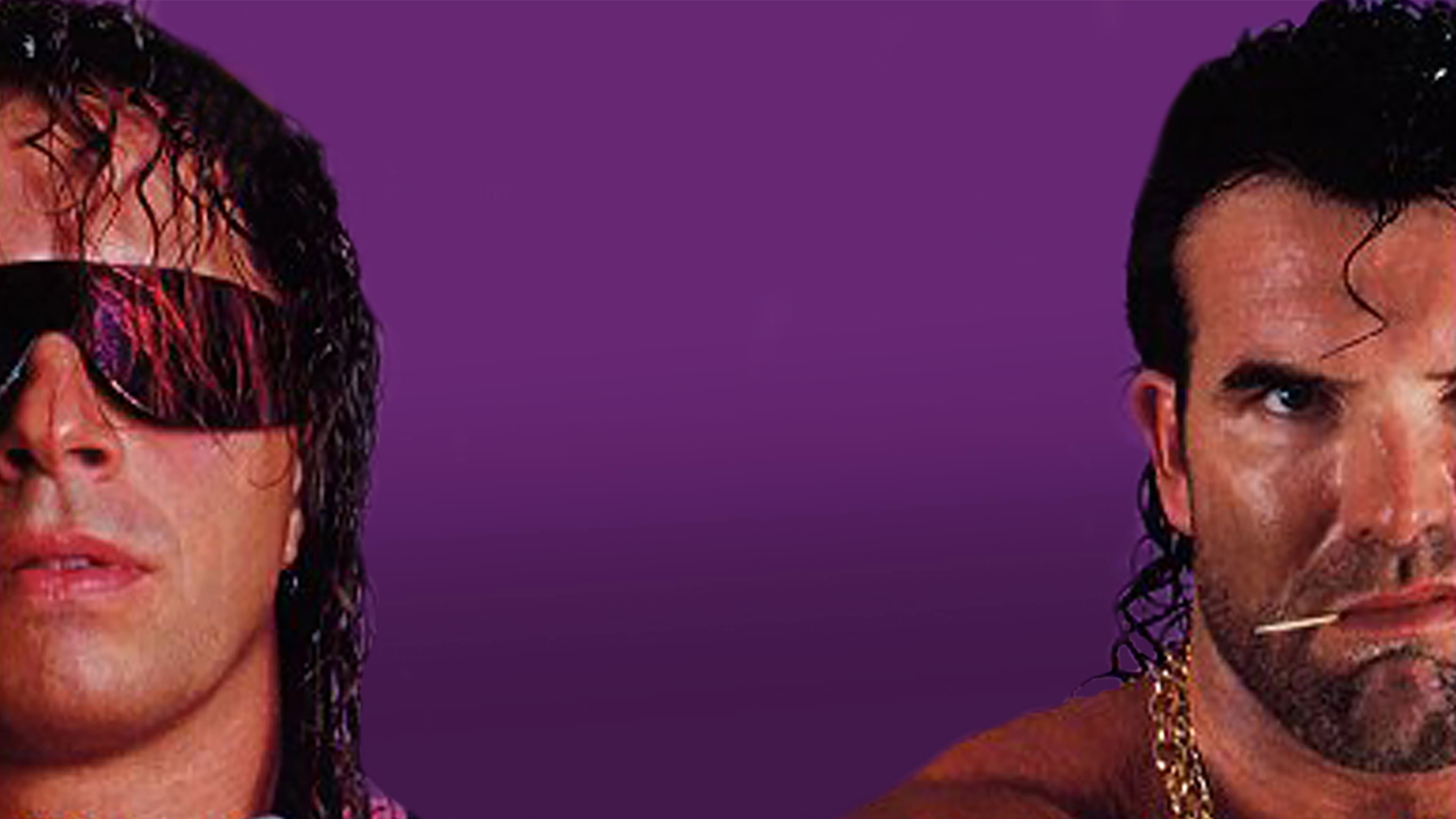 Backdrop for WWE Royal Rumble 1993