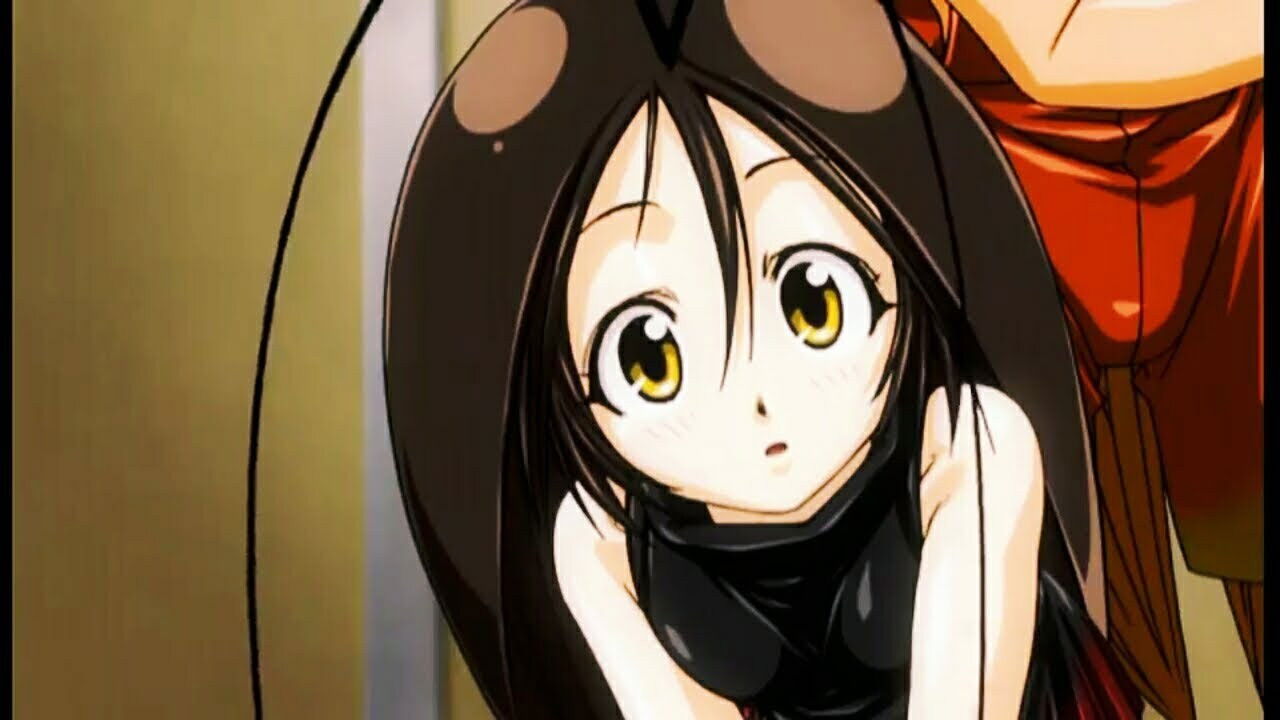 Backdrop for Gokicha!! Cockroach Girl