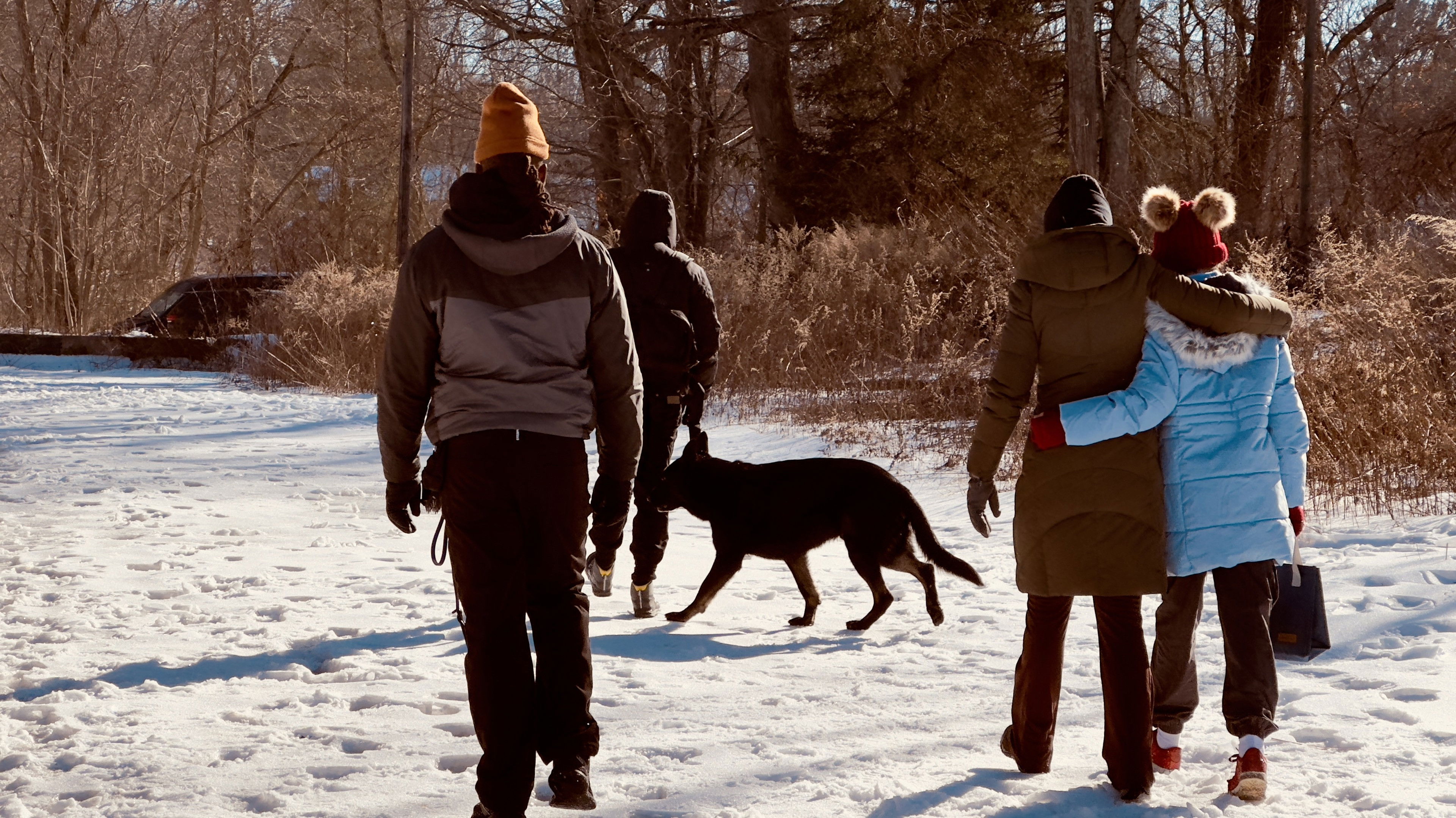 Backdrop for Not My Dog