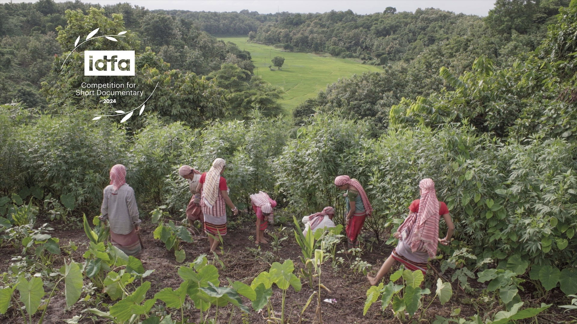 Backdrop for Echoes Within