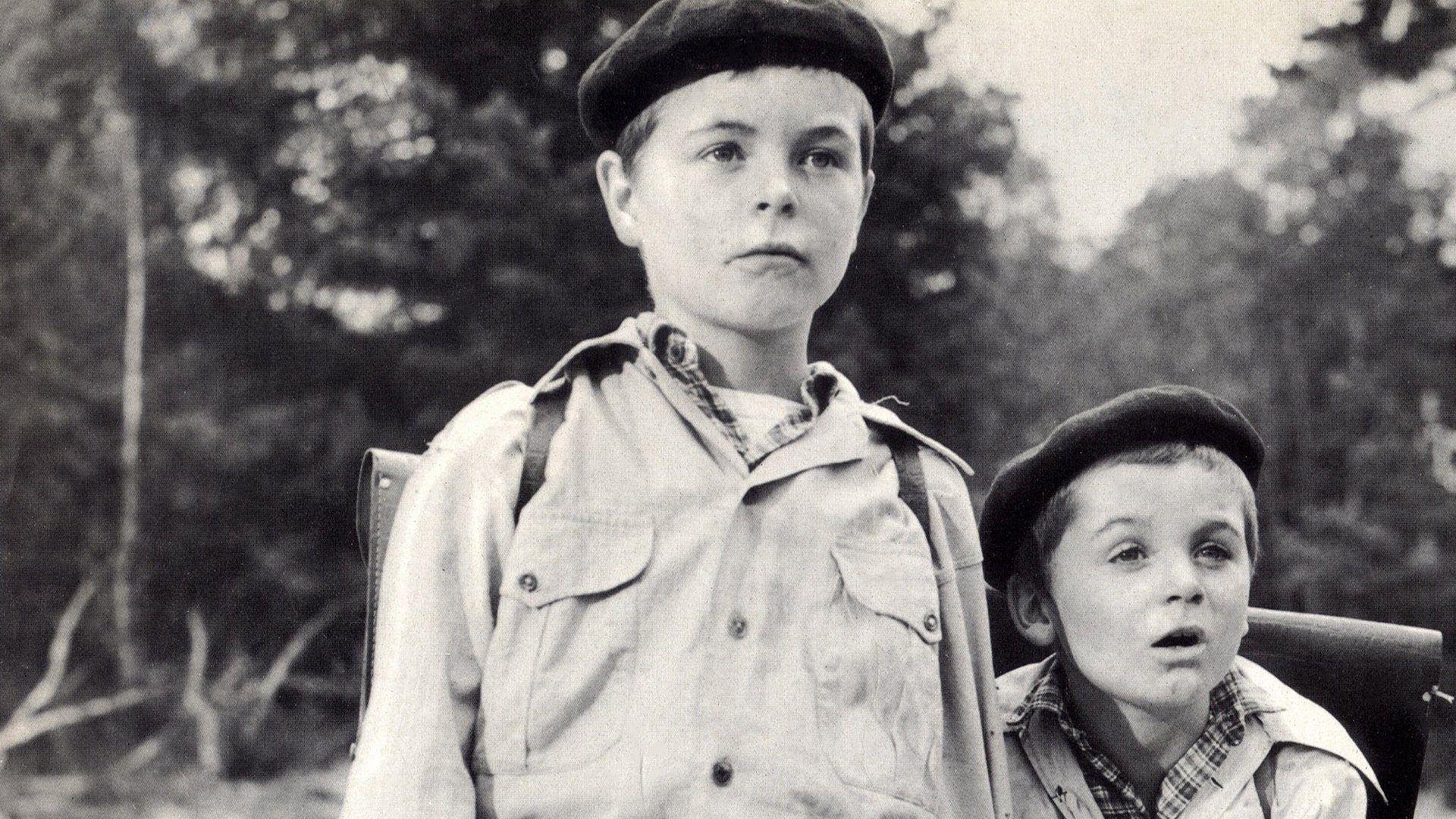 Backdrop for War of the Buttons