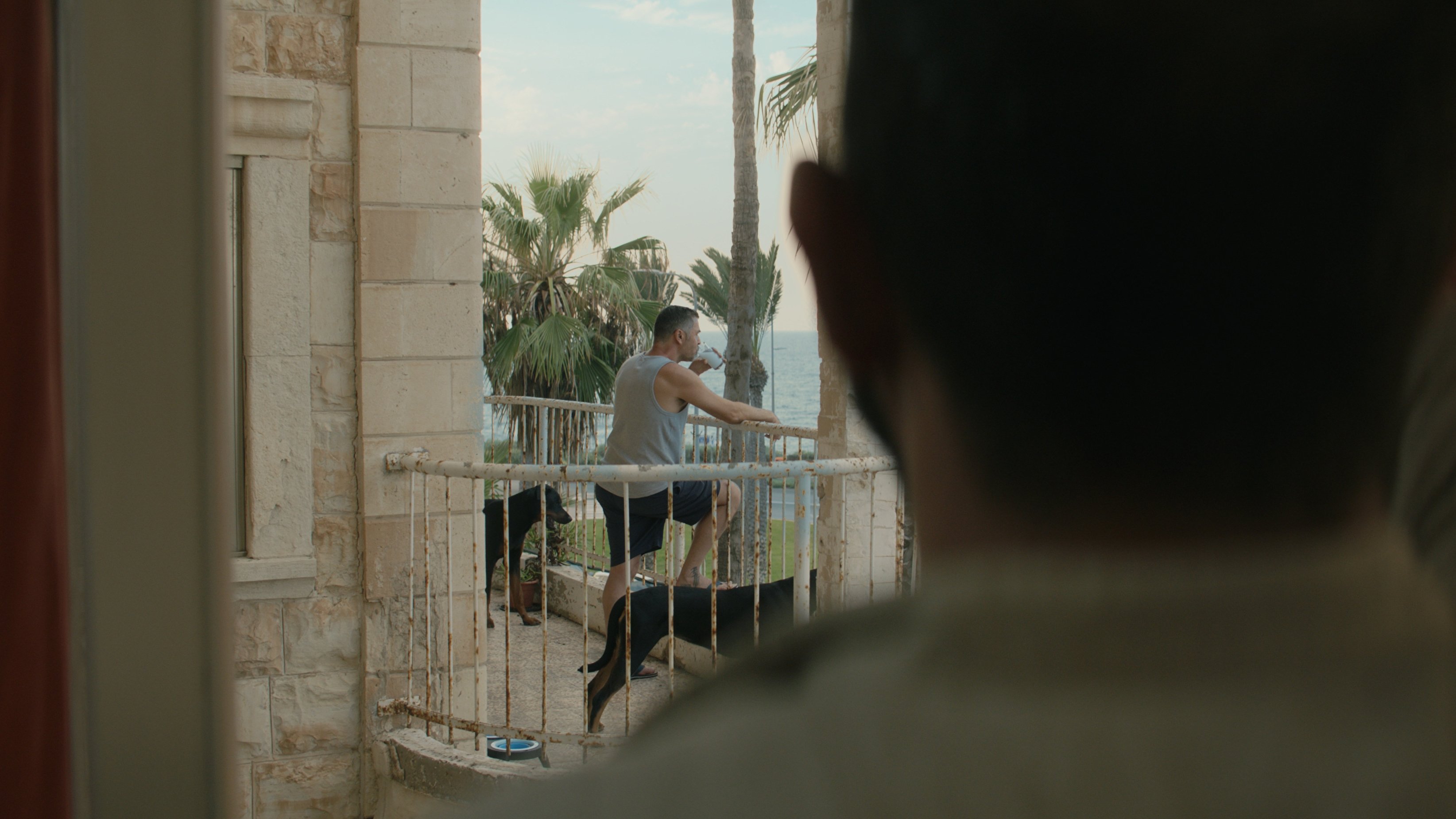 Backdrop for Mediterranean Fever