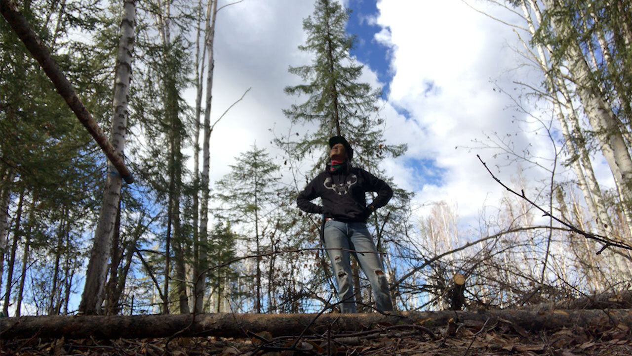 Backdrop for K'i Tah Amongst the Birch