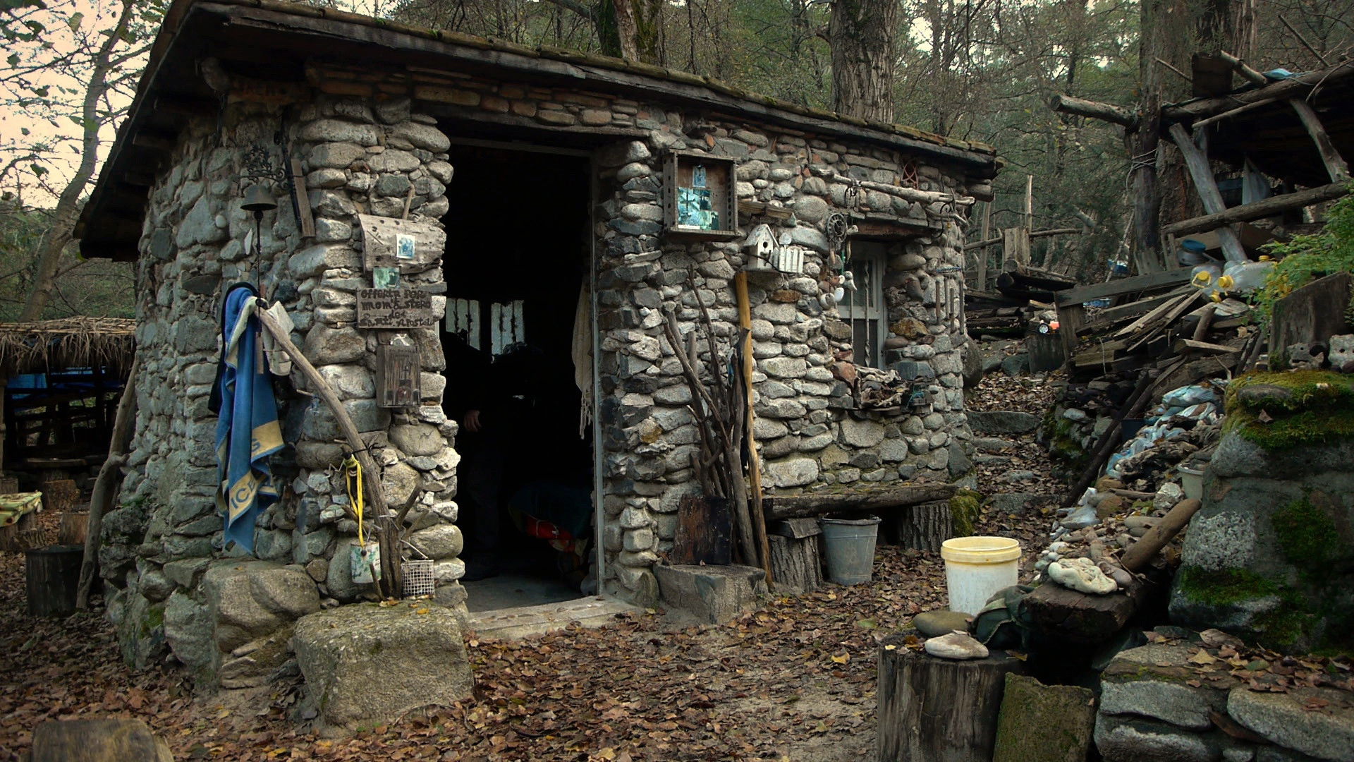 Backdrop for Voices from the Silence