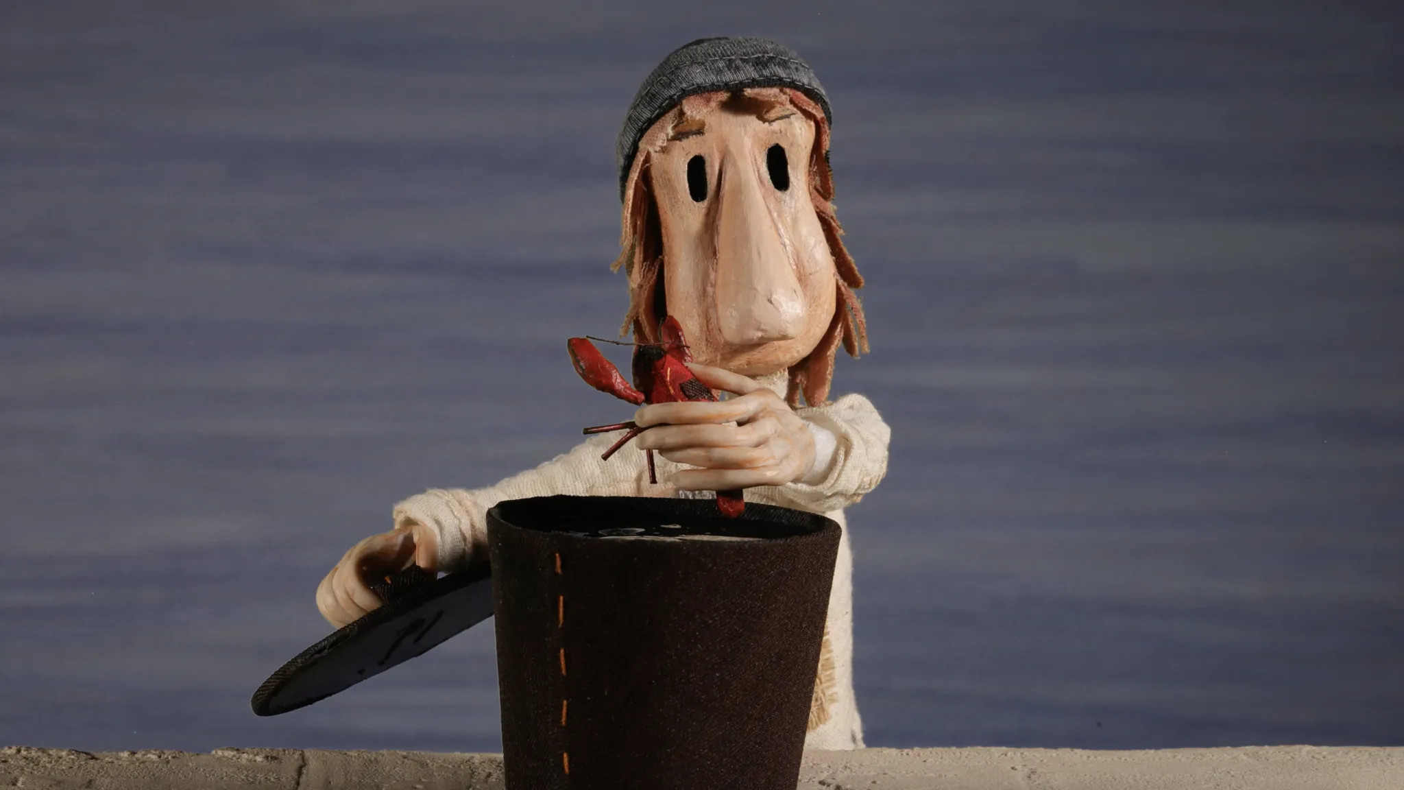 Backdrop for Clarkii