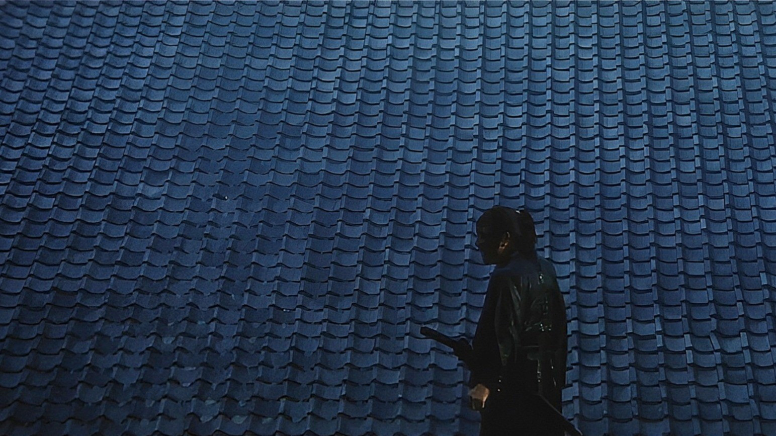 Backdrop for Tenchu!