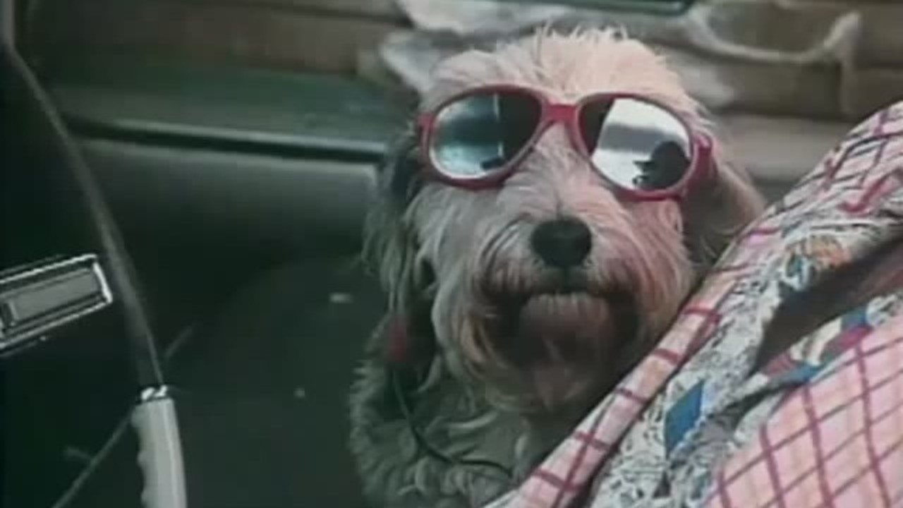 Backdrop for Nerds of a Feather