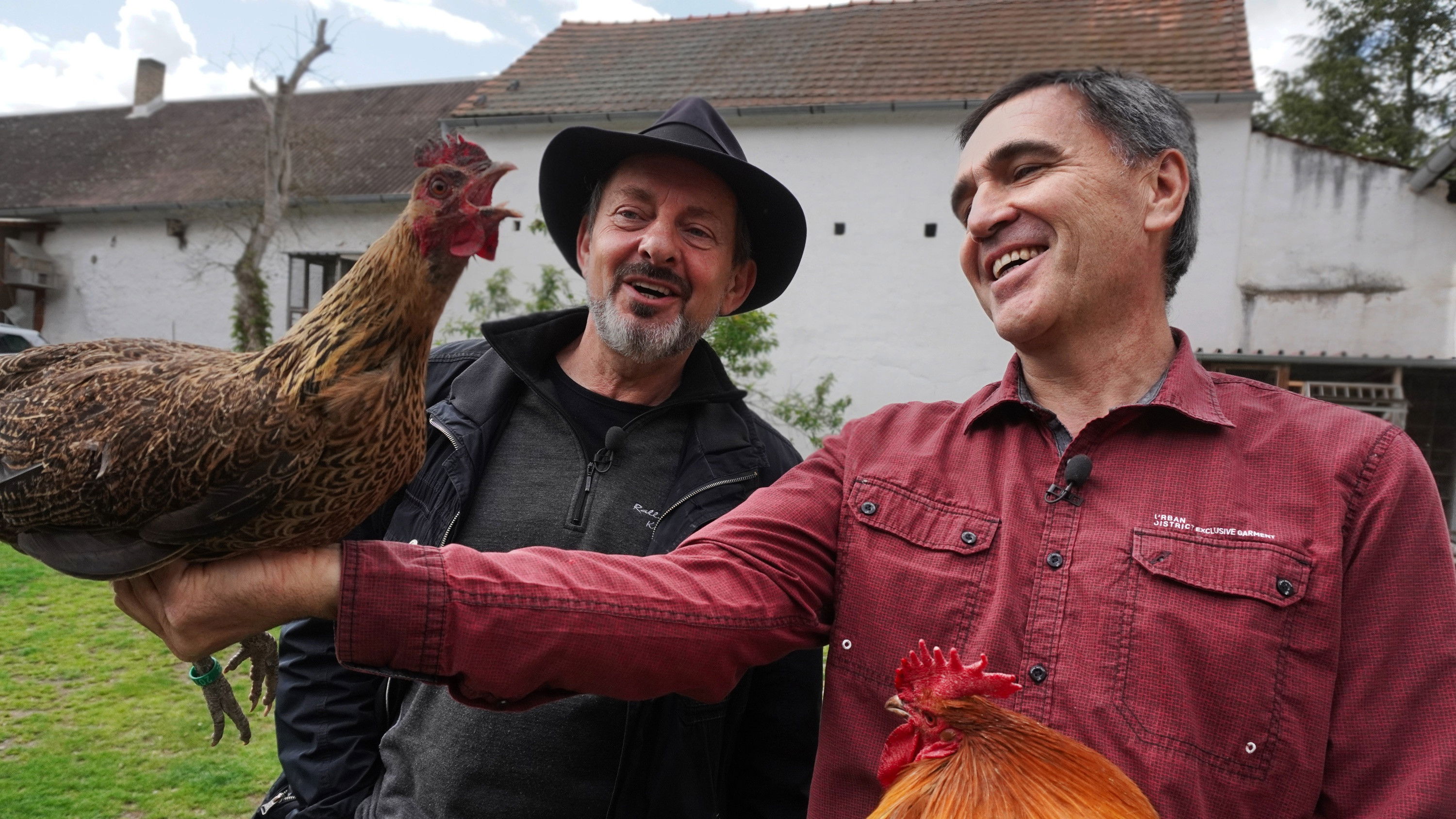 Backdrop for Co Čech, to chovatel