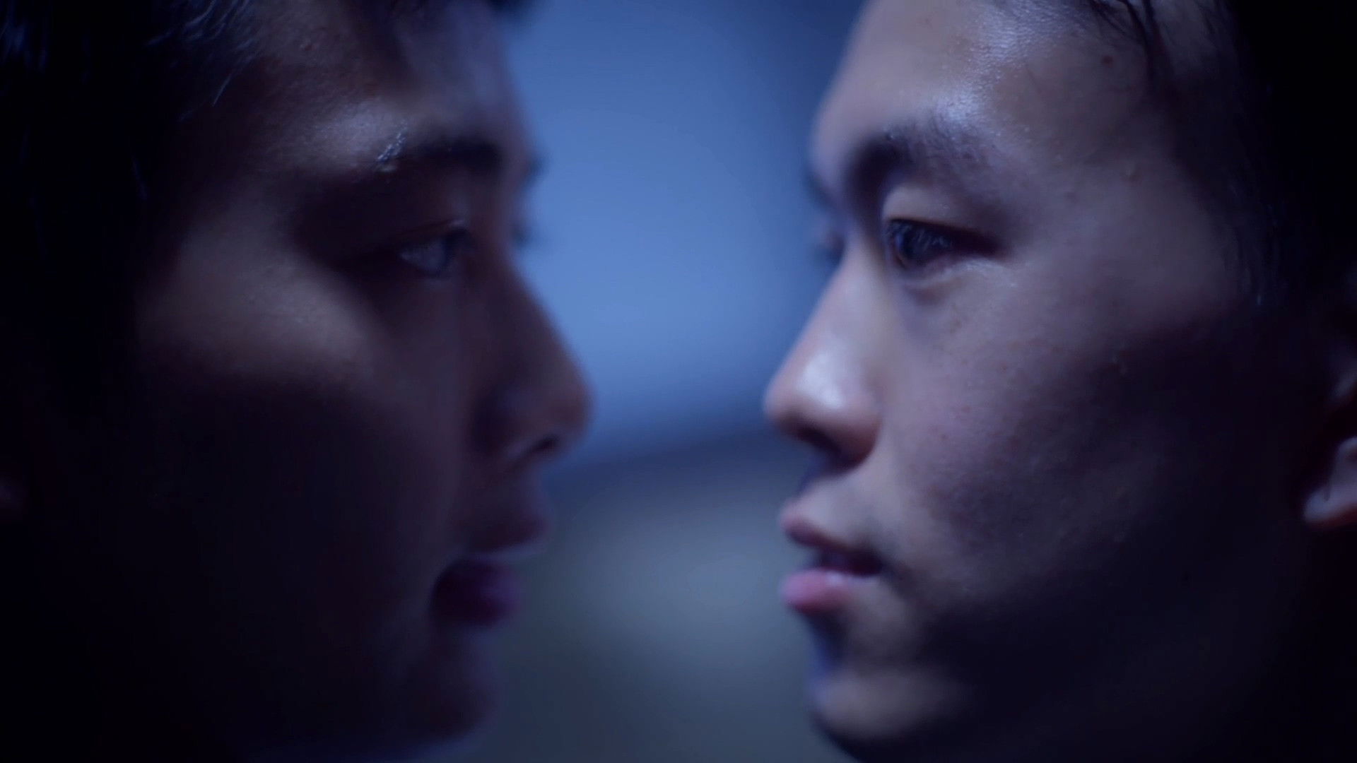 Backdrop for The Sea We've Never Seen