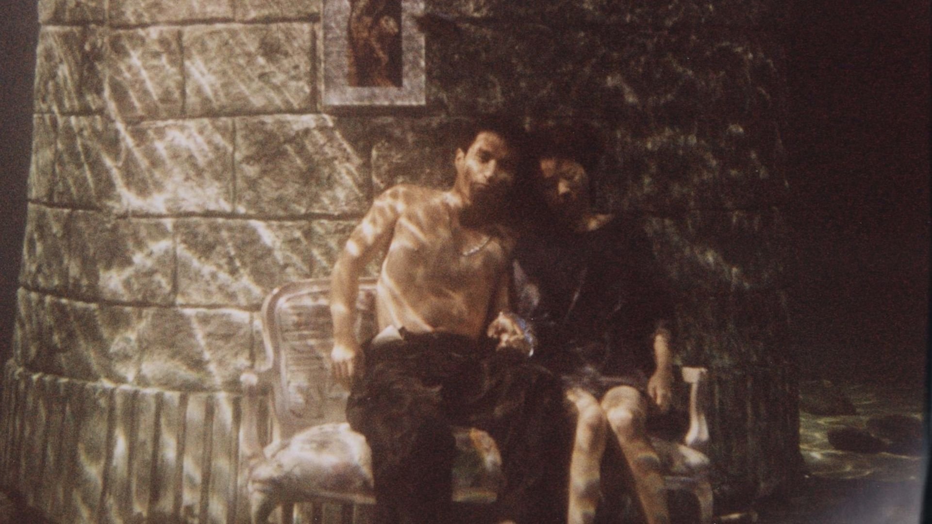 Backdrop for Crocodile