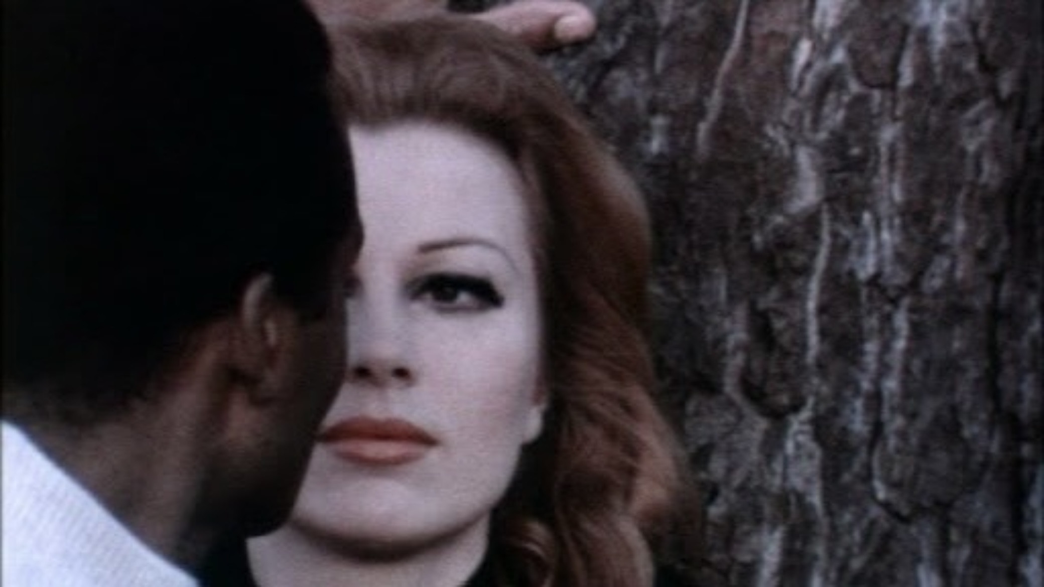 Backdrop for Attraction