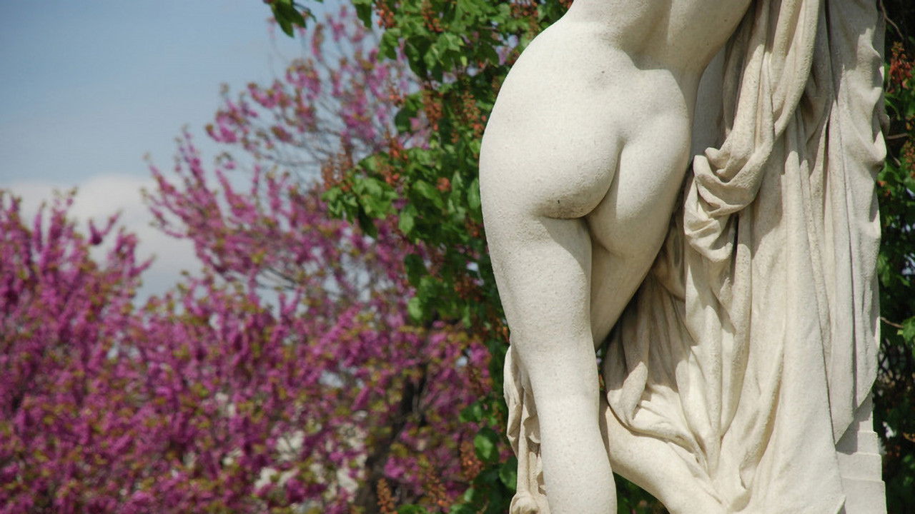 Backdrop for L'art du derrière, une folle histoire des fesses