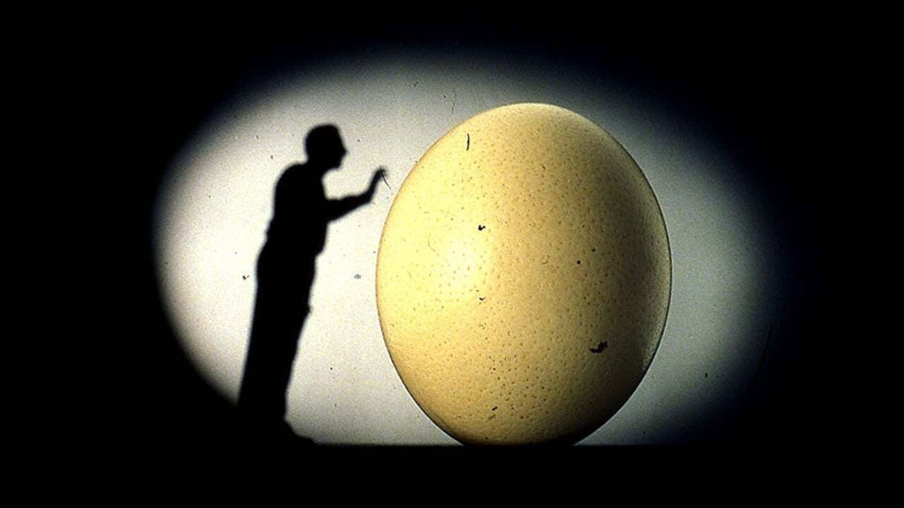 Backdrop for Il mnemonista