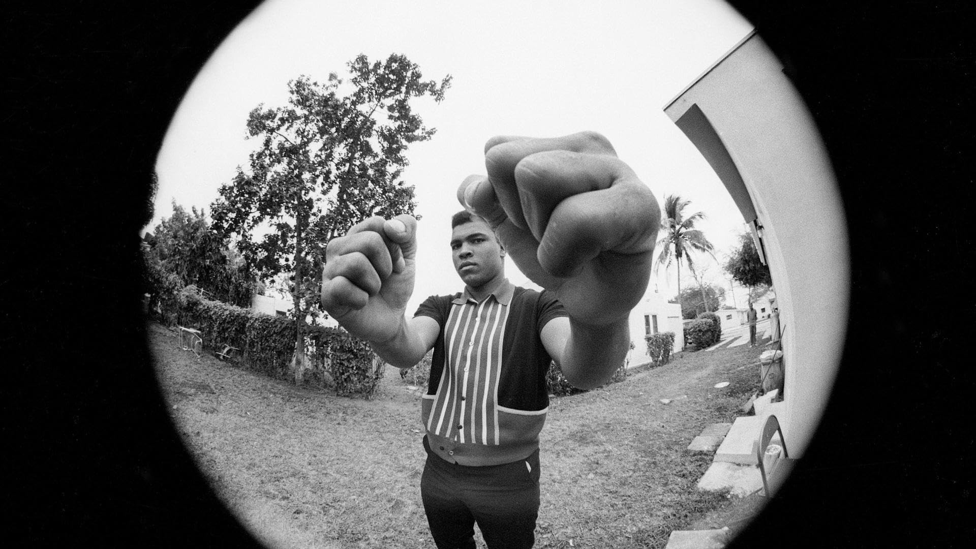 Backdrop for Muhammad Ali