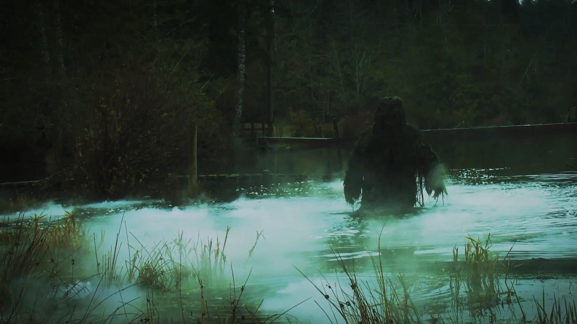 Backdrop for Swamp Freak