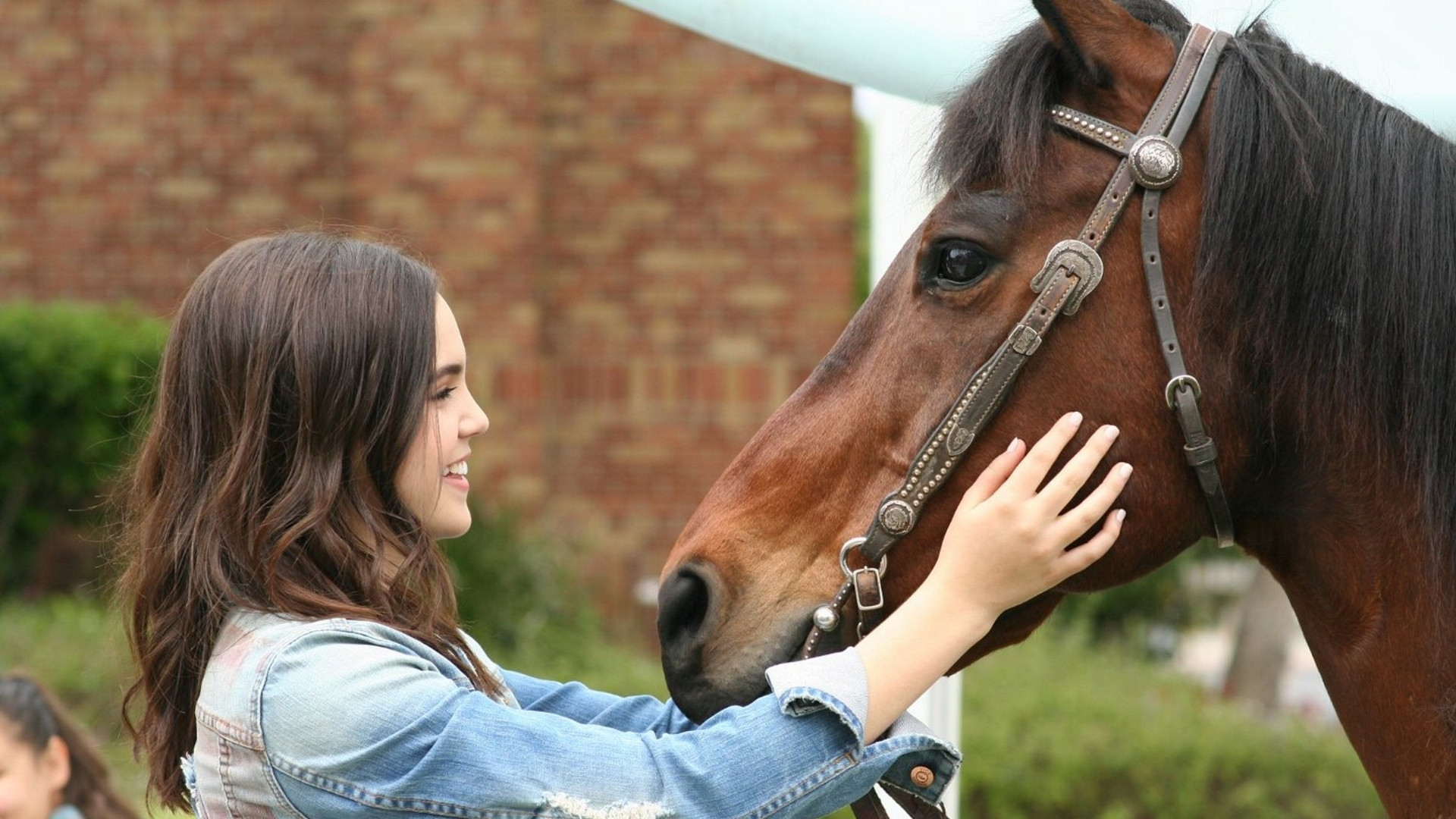 Backdrop for A Cowgirl's Story