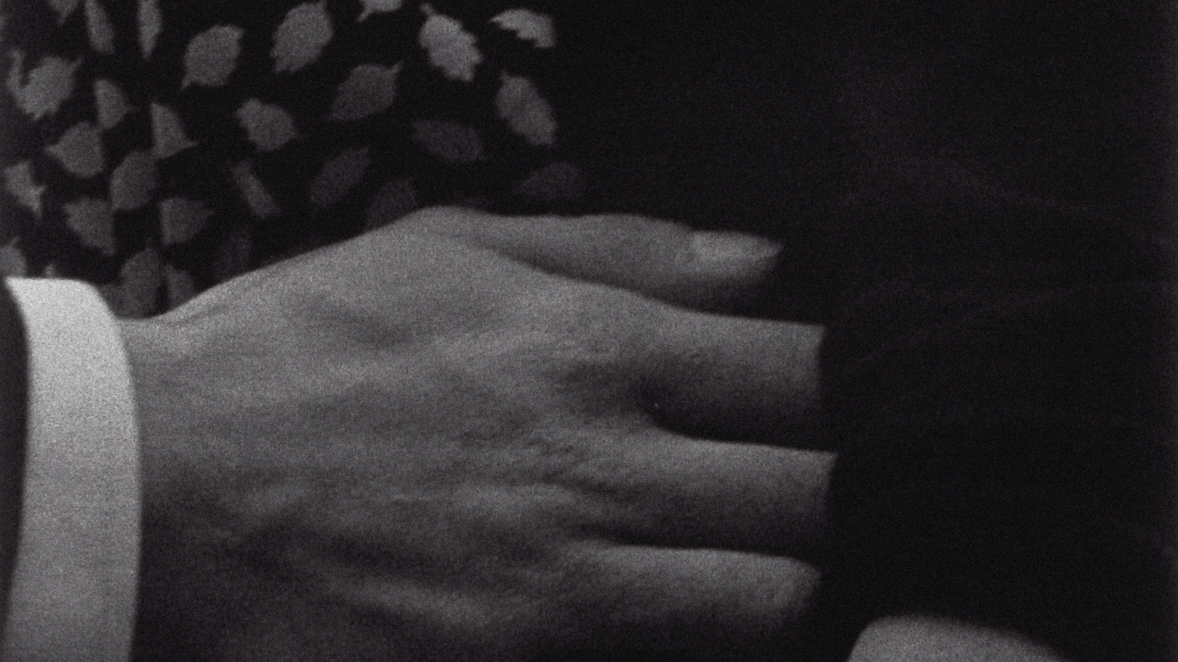 Backdrop for Alice & Jim