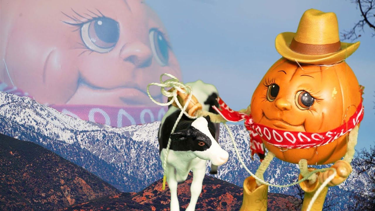 Backdrop for Pumpkin Cowboy