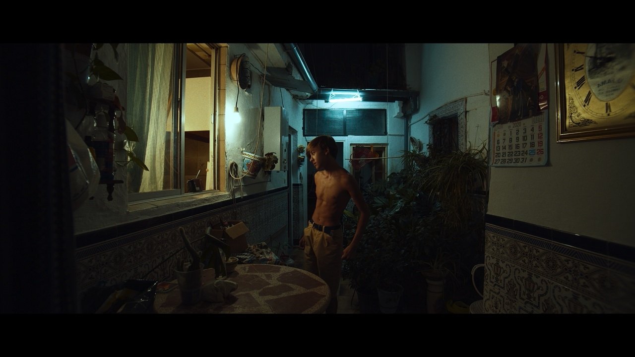 Backdrop for El cuento del limonero