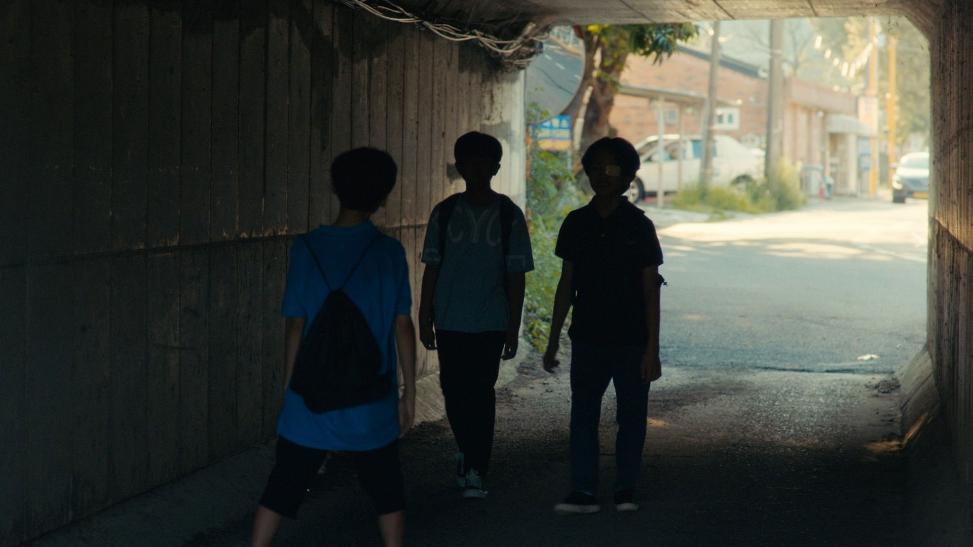 Backdrop for When This Summer is Over