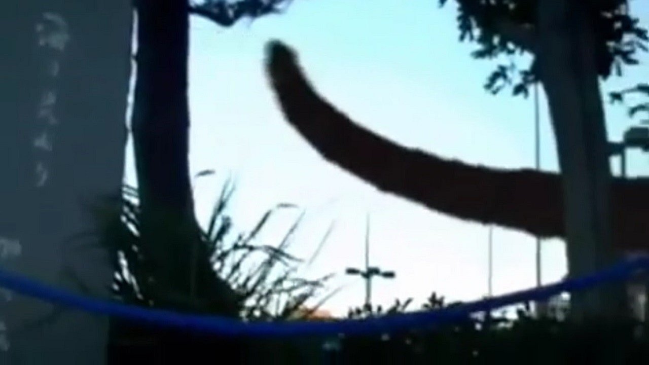 Backdrop for Monster