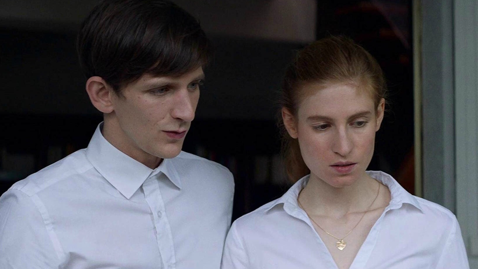 Backdrop for Blonde Animals