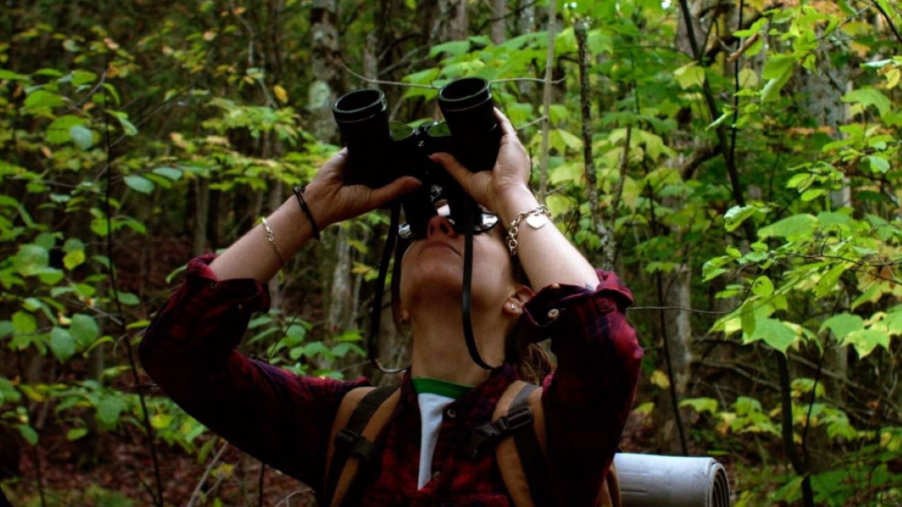 Backdrop for Woman of the Woods