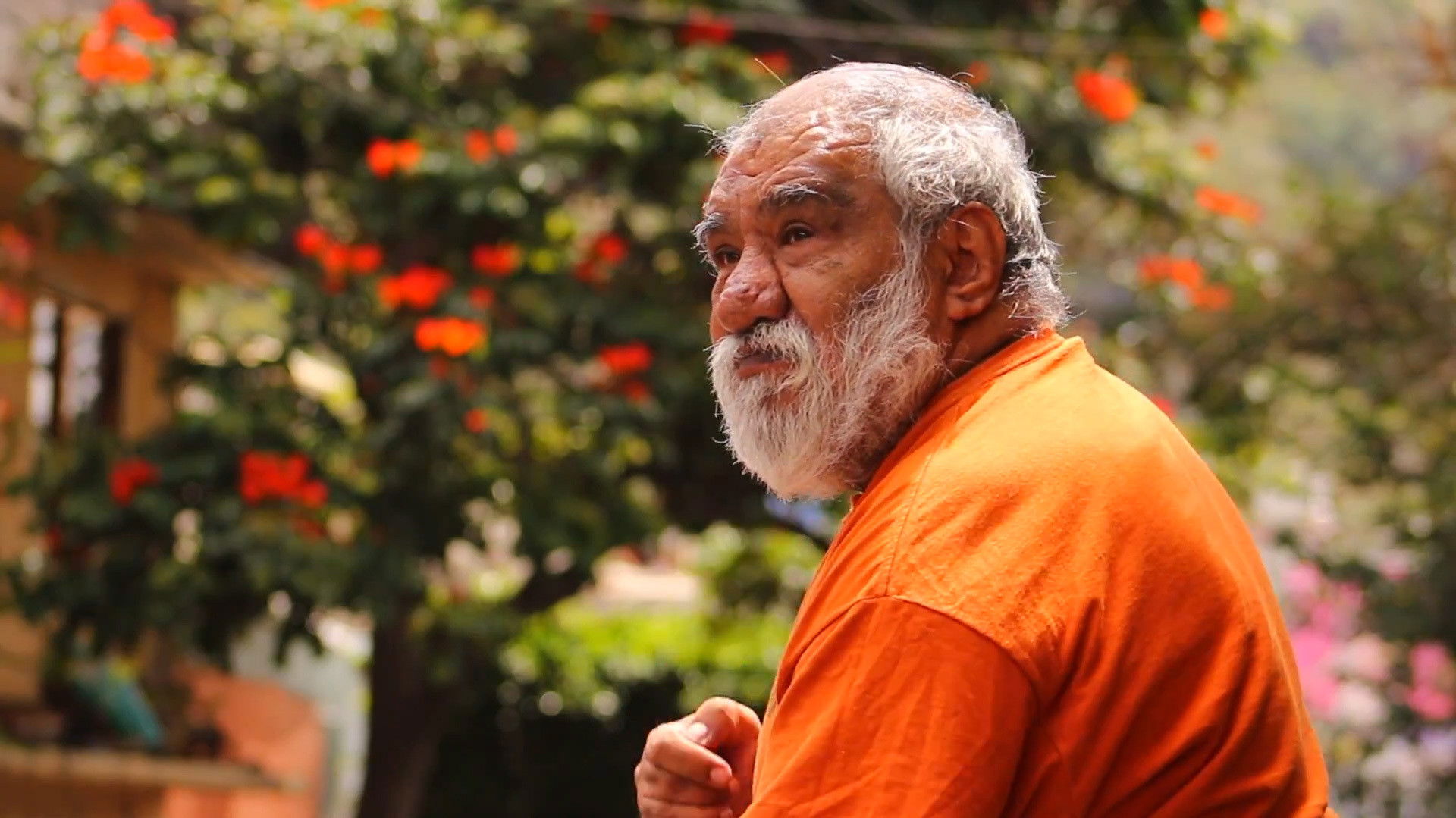 Backdrop for La pared del Don