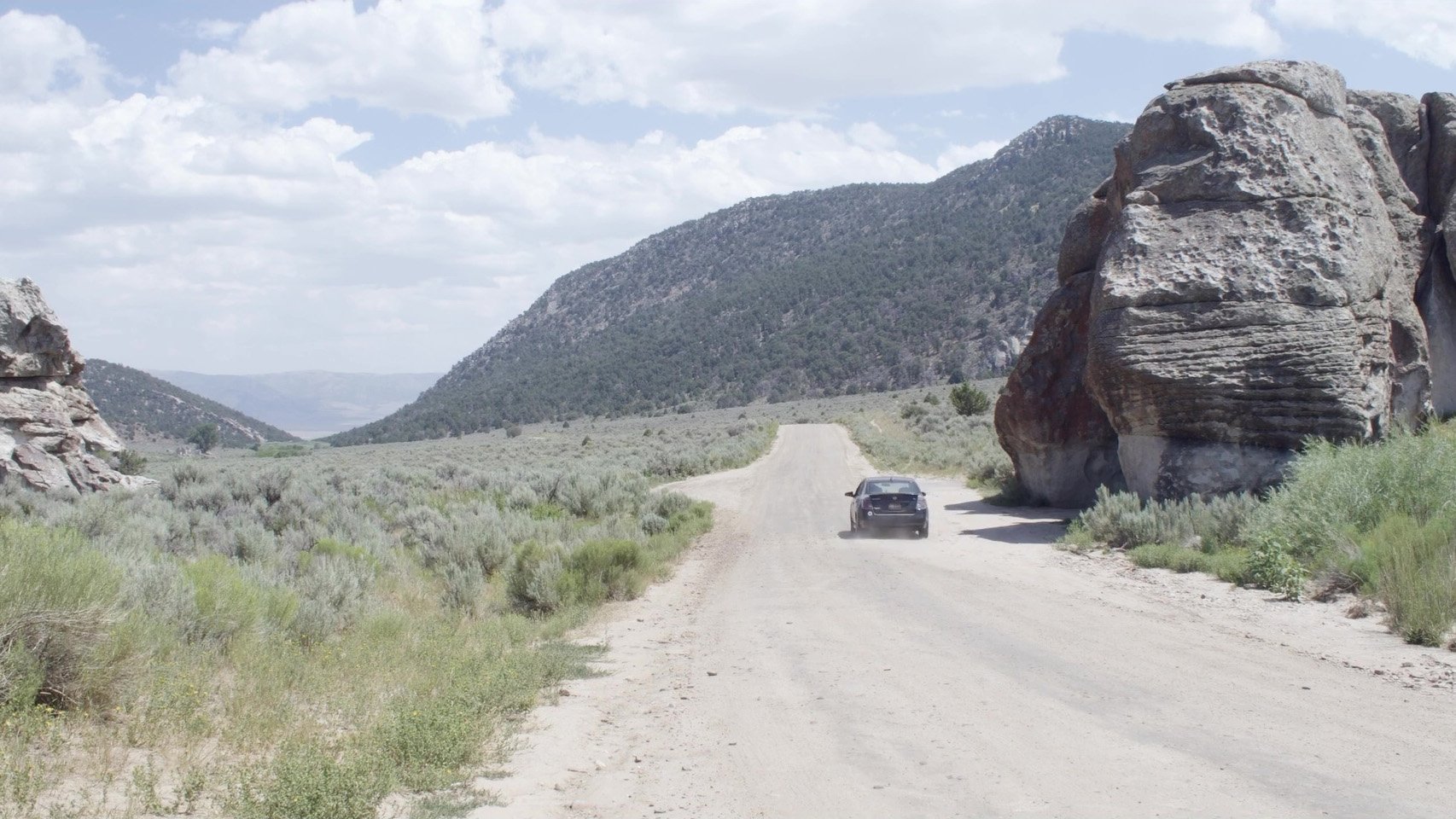 Backdrop for All That You Love Will Be Carried Away