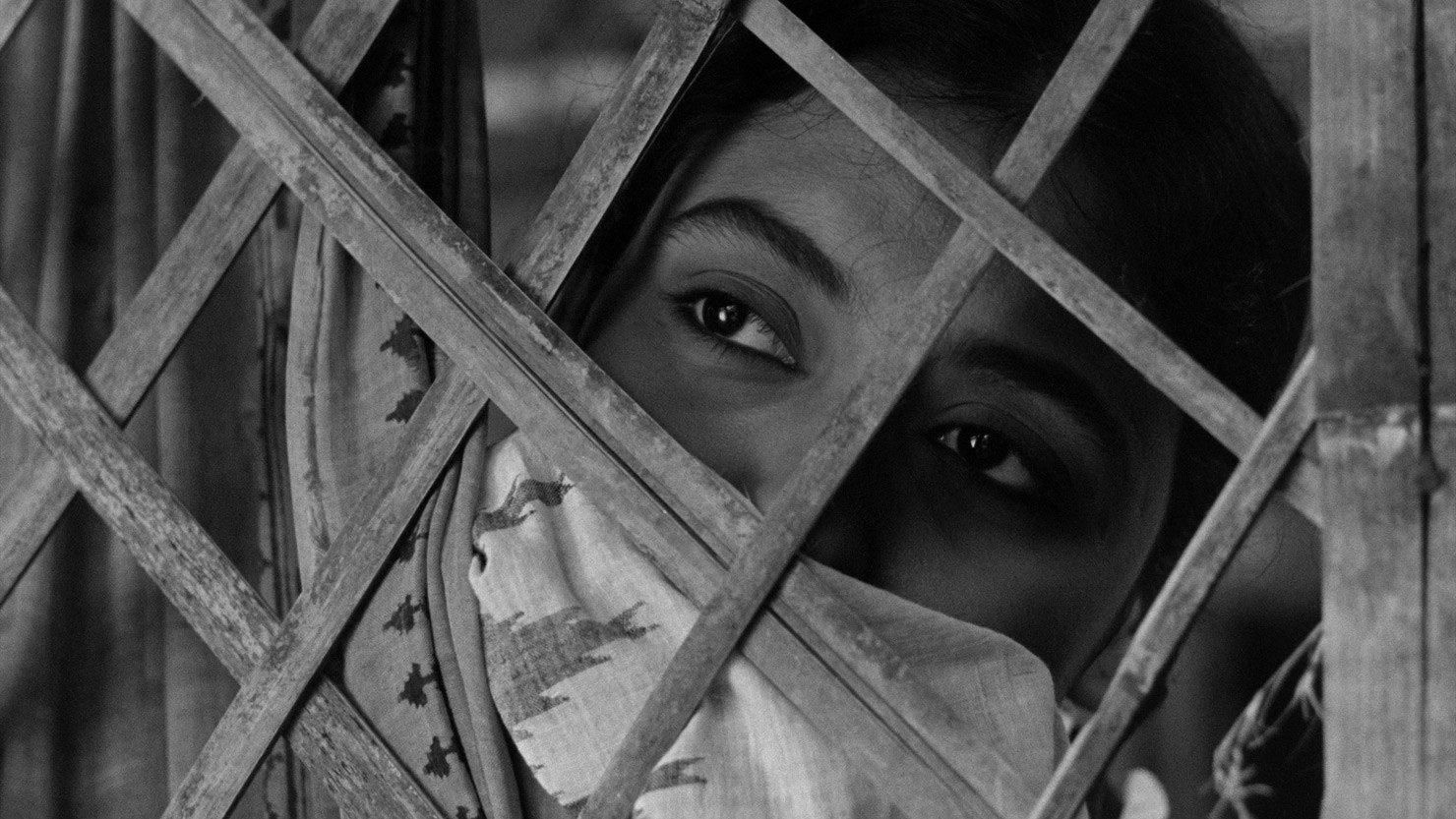 Backdrop for The Cloud-Capped Star