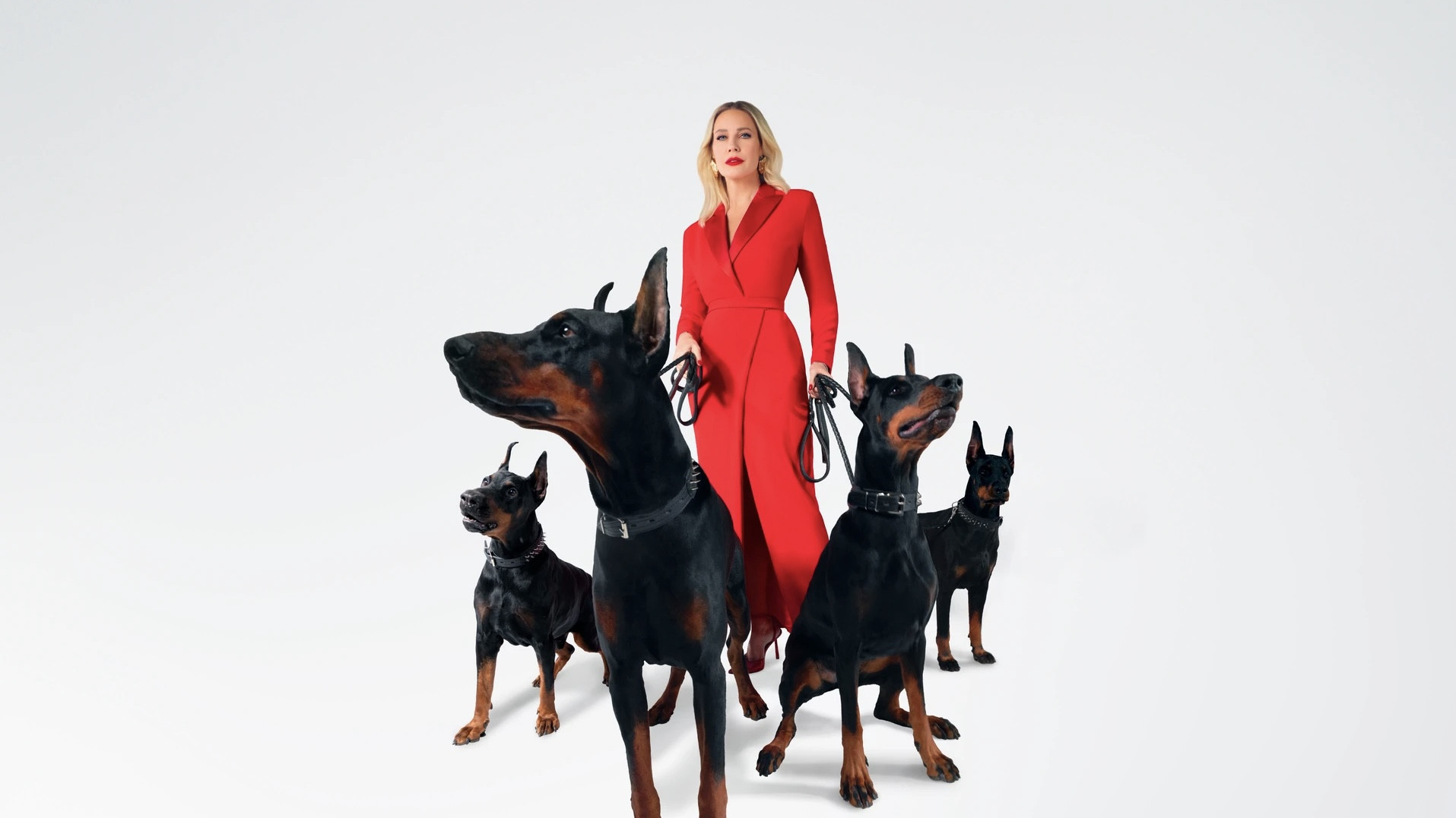 Backdrop for New Revizorro