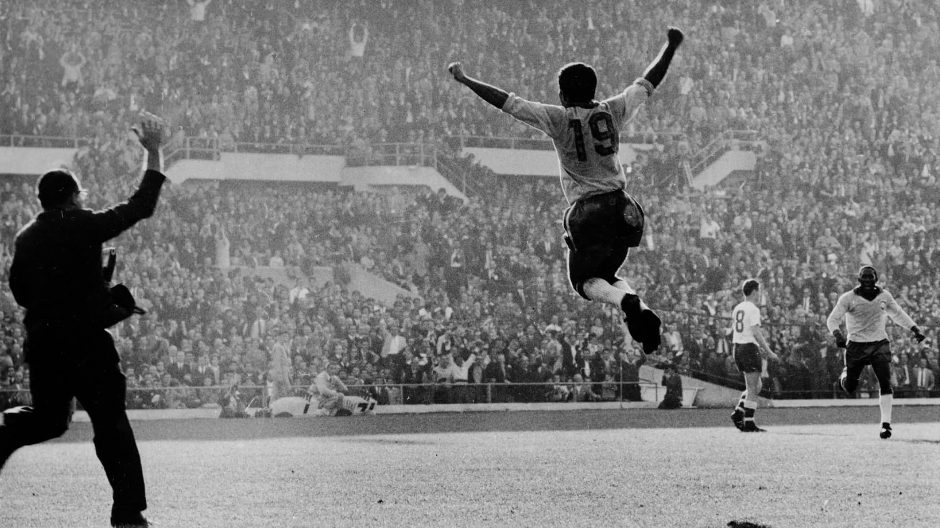 Backdrop for Viva Brazil