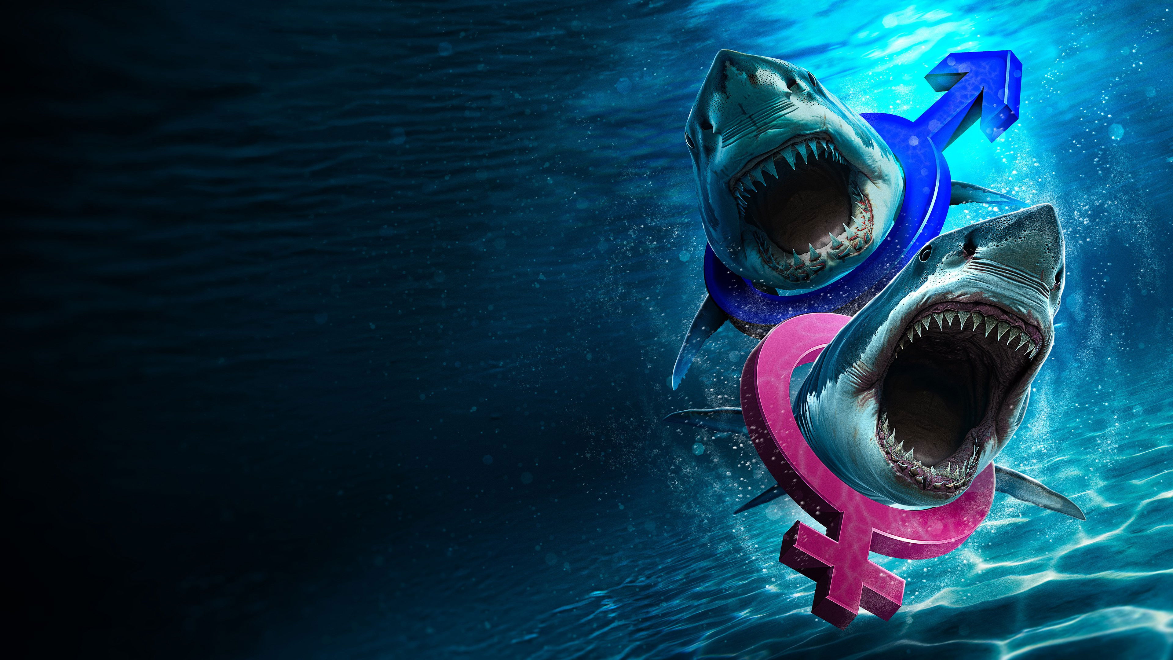 Backdrop for Great White Sex Battle