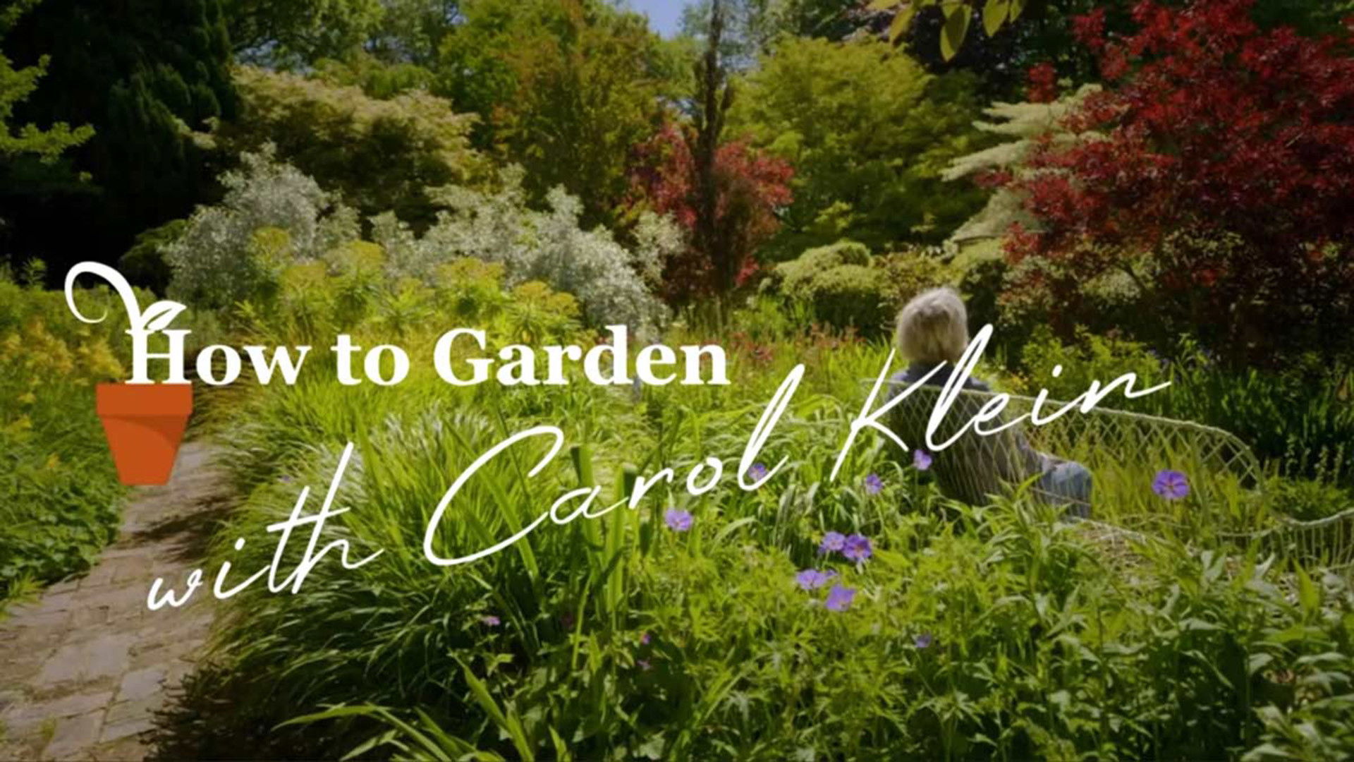 Backdrop for How to Garden With Carol Klein