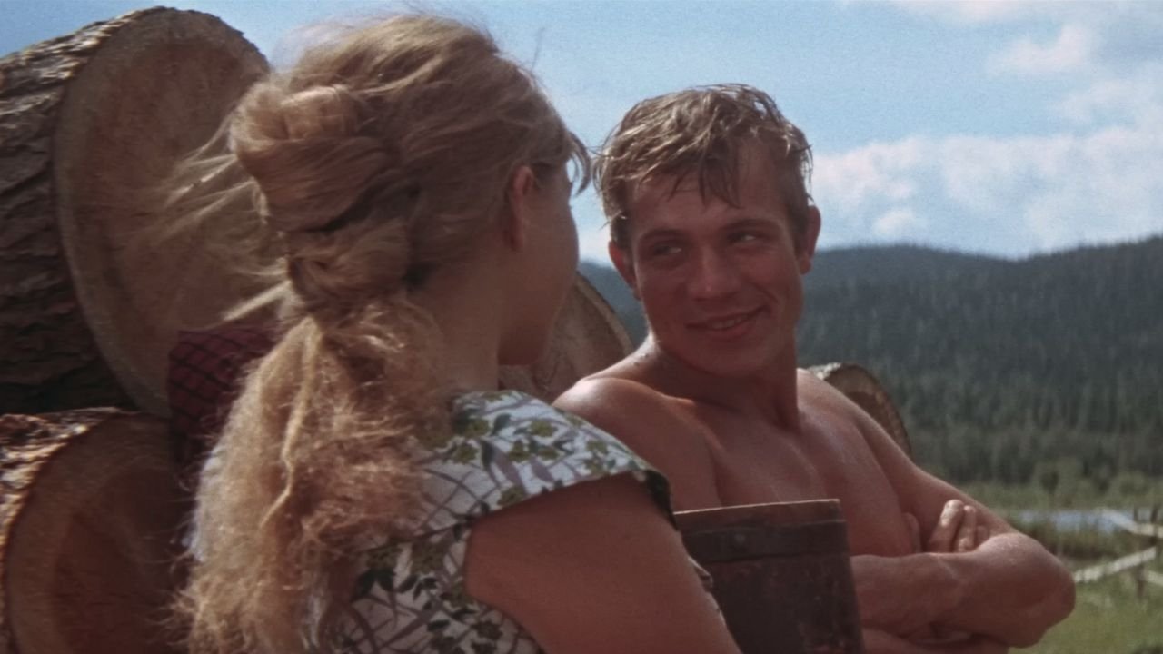 Backdrop for The Taiga Troopers