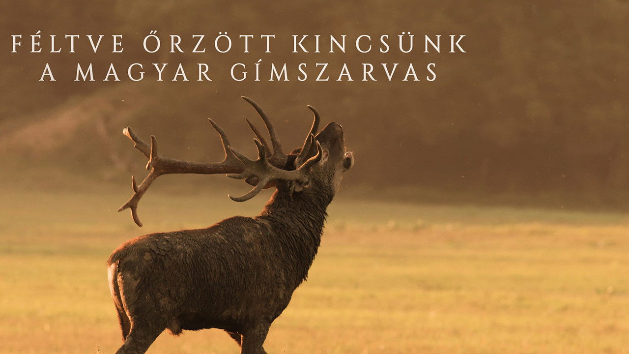 Backdrop for Féltve őrzött kincsünk, a magyar gímszarvas