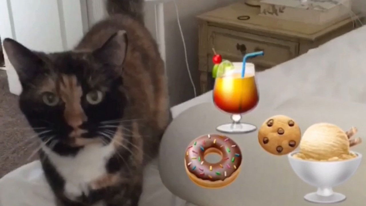 Backdrop for The Adventures of Murphy the Cat #7