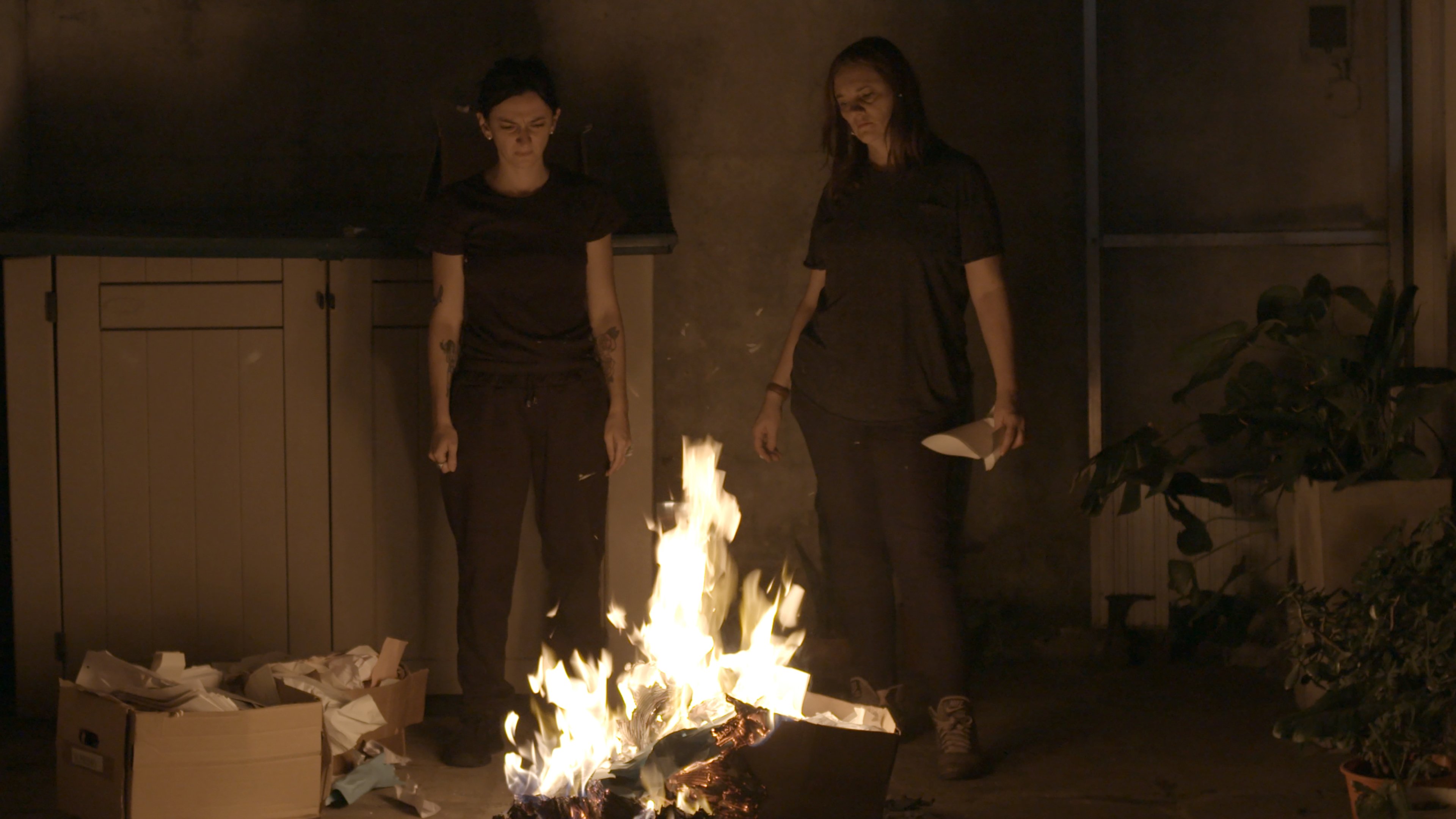 Backdrop for Something Old, Something New, Something Borrowed