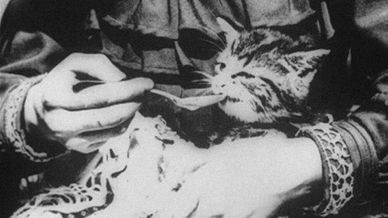 Backdrop for The Sick Kitten