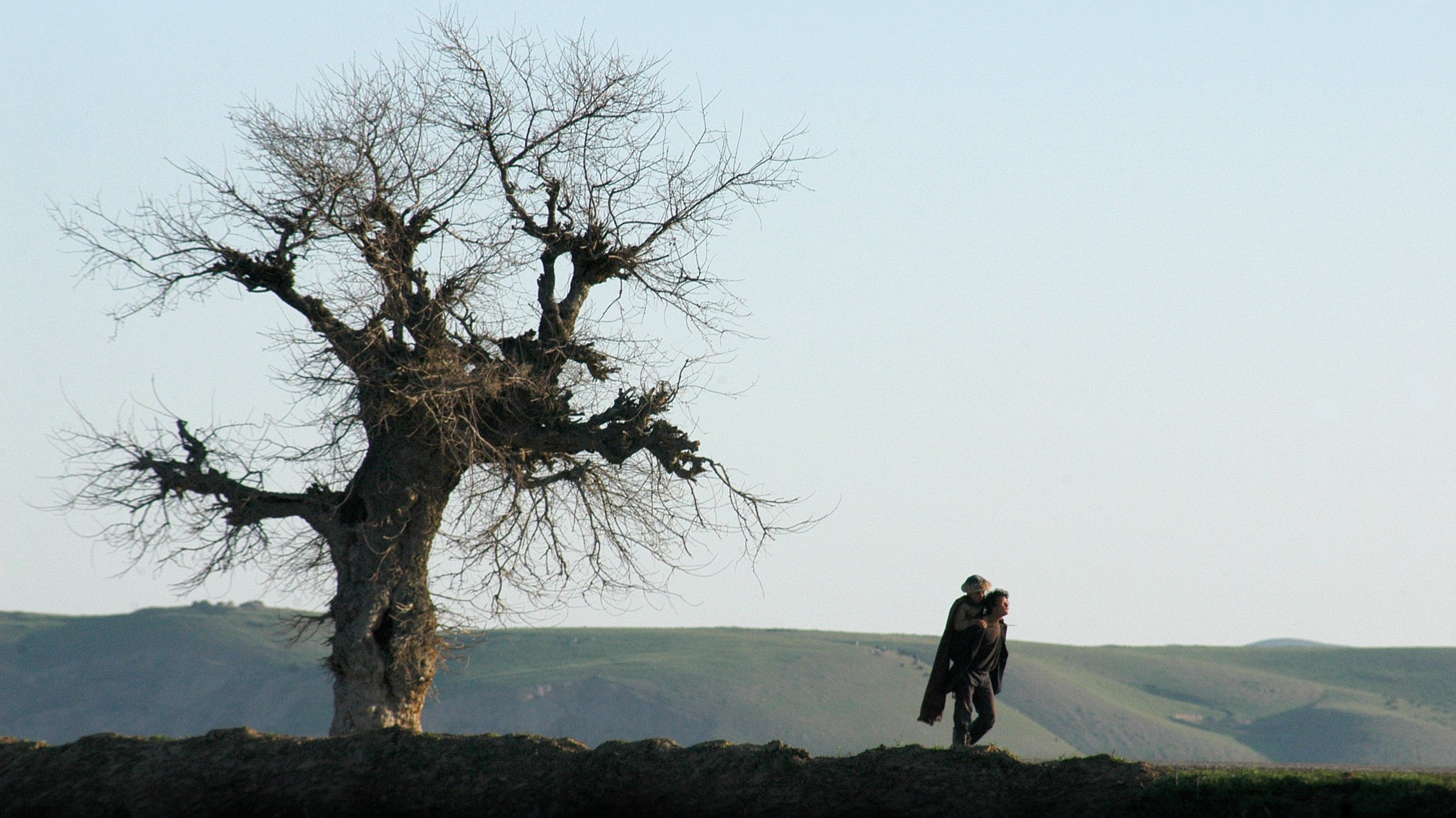 Backdrop for Two-Legged Horse